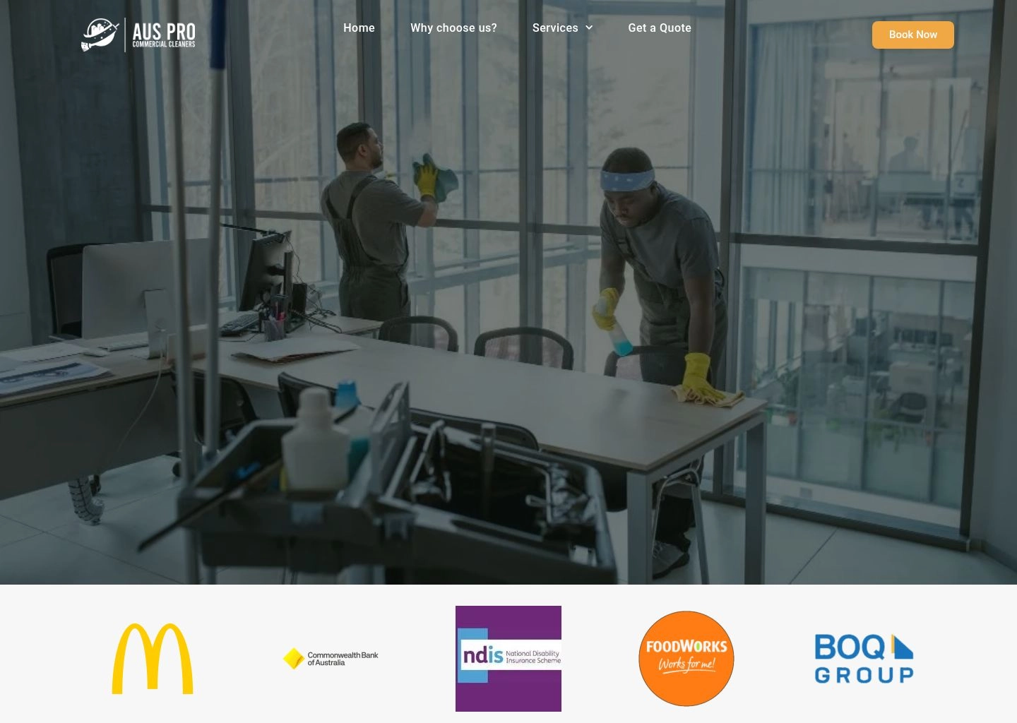 Wordpress developer