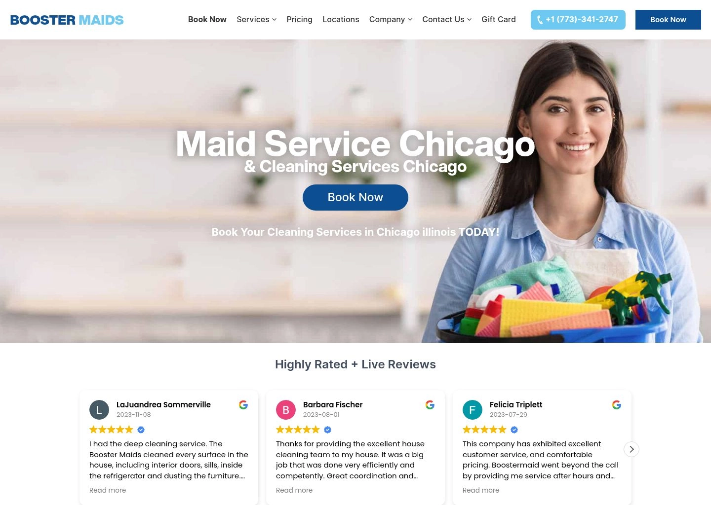Wordpress developer
