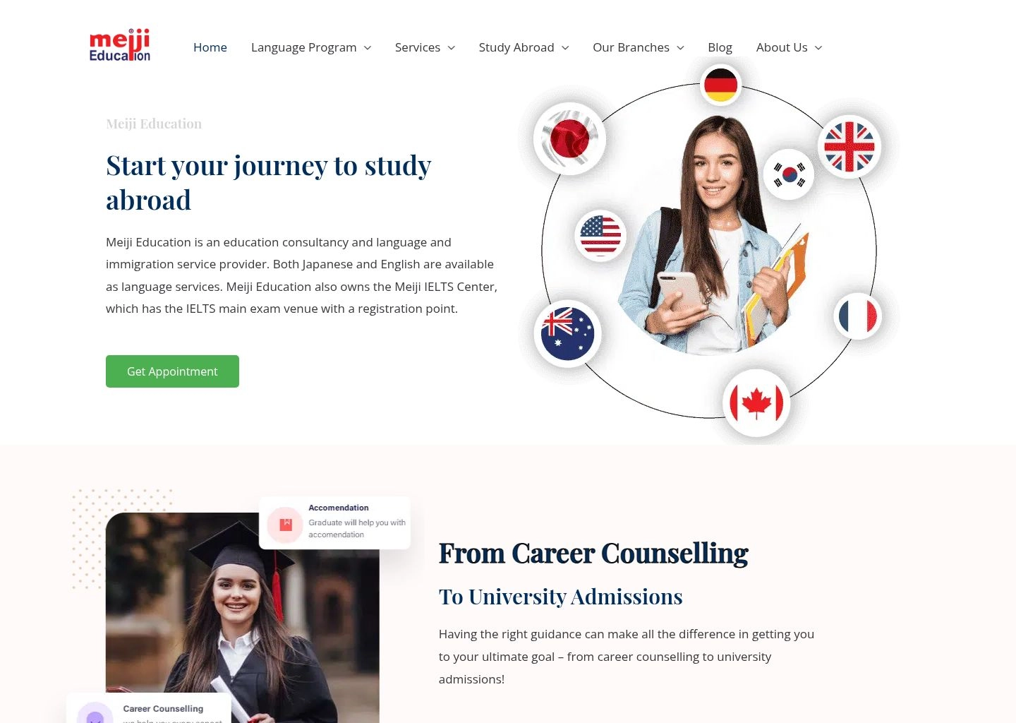 WordPress Developer